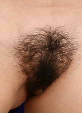 Brunette Solo Bush Pics with Natural Tits