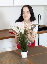 Hairy Pussy Kitchen Dildo Insertion Pics Gallery