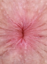 Hairy Pussy Spread Pose Nude Solo Gallery