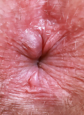 Solo Hairy Pussy Spread Gallery