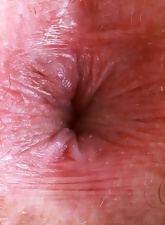 Solo Hairy Pussy Spread Gallery