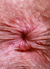Mature Solo Tease Pictures Hairy Pussy