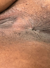 Bushy Pussy Gallery Nude Babe Solo Tease