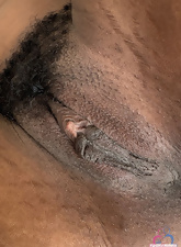 Bushy Pussy Gallery Nude Babe Solo Tease
